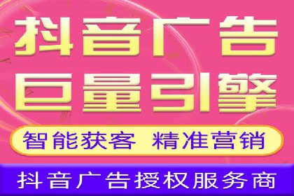 行业领先SEM服务公司案例研究